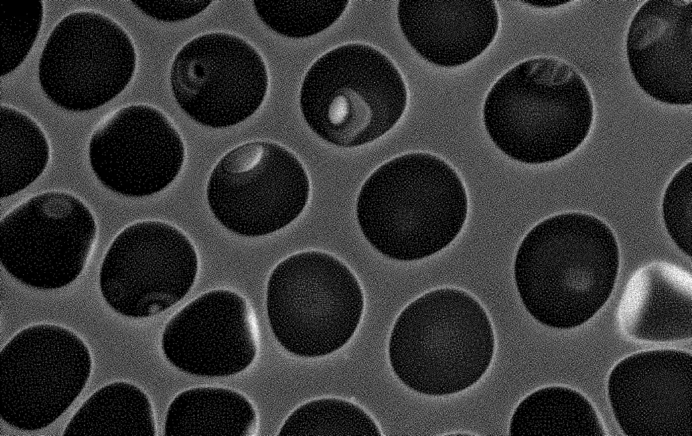 Electron micrograph of an exemplary breath-figure PLGA film's surface pores at high magnification.