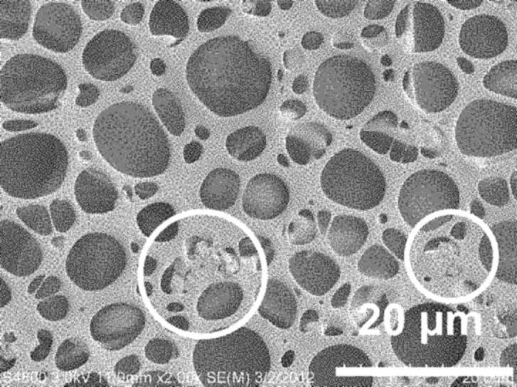 Electron micrograph of the lower layer at 2,000 times before sealing: a honeycomb of large pores, with a 20 µm scale bar.