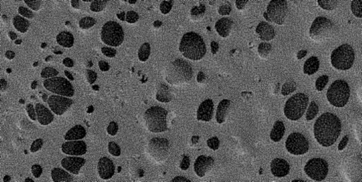Electron micrograph of the sealed top layer: scattered pores in a smooth surface.