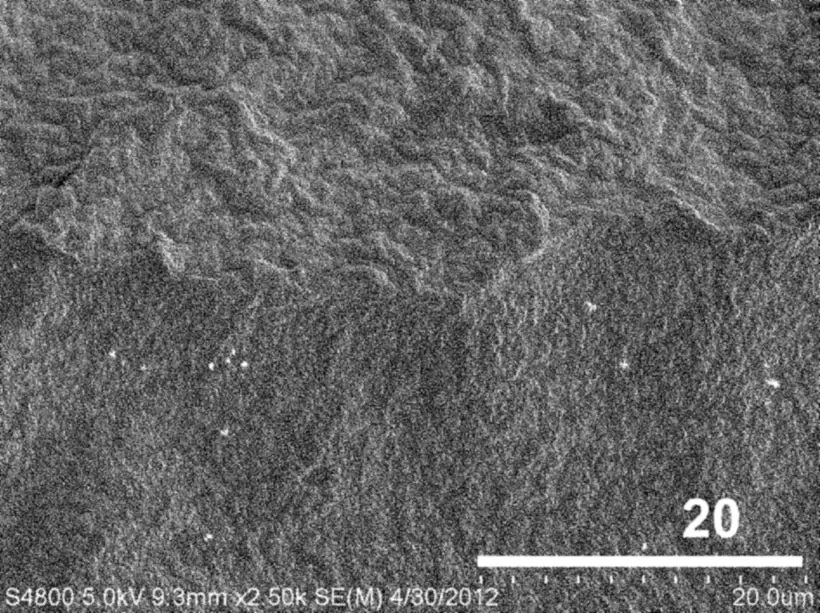 Electron micrograph of a two-layer test film's cross-section after 28 days in fluid: a wrinkled surface with no open pores.